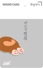 카드의 정석 댕댕냥이