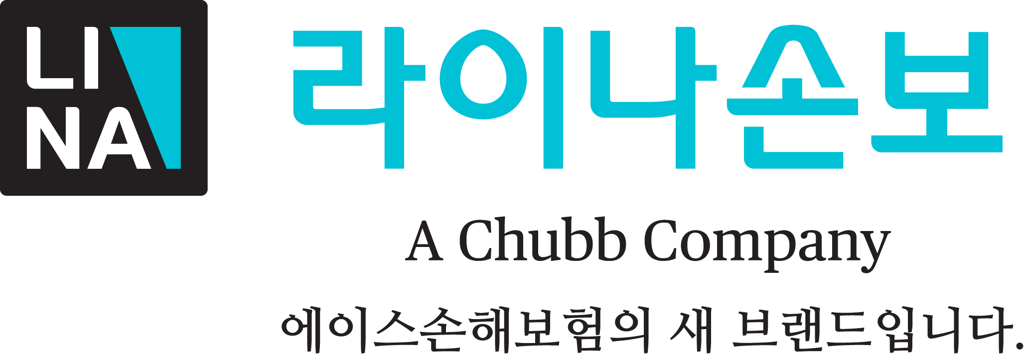 라이나손해보험